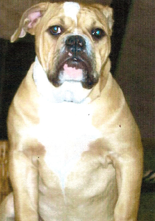 Brick's Bruiser Bo of SBK